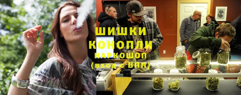 Каннабис OG Kush  Пыталово 